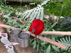 -南宫五洲植物乐园