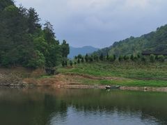 -新安江山水画廊风景区