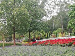 -广州市流溪河国家森林公园