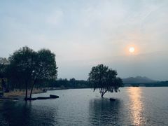 -济南国际园博园