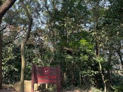 -上海佘山国家森林公园天马山园