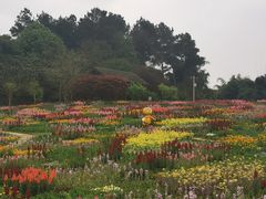 -保利石象湖景区