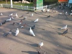 android_upload_pic-迎泽公园