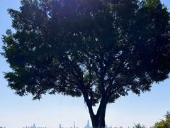 -火炉山森林公园