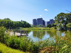 -将府公园