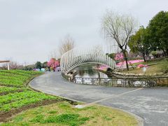 -上海杨姆庄园