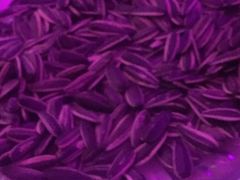 -普陀山祥生大酒店