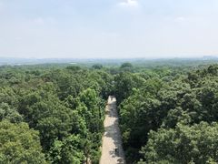 -灵谷景区