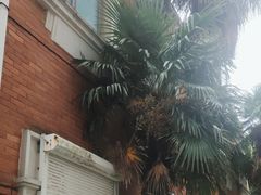 -杜月笙公馆旧址