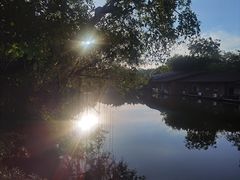 -绿光森林餐厅