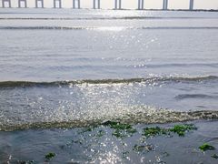 -黑石礁公园