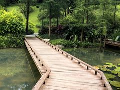 -云溪植物园