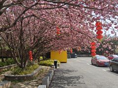 -乌石村