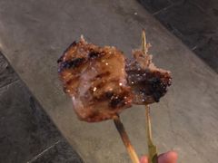 肉肉-清迈夜间动物园