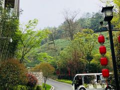 -安吉涵田度假村·水榭居中餐厅
