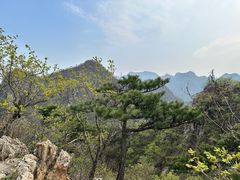 -大连天门山国家森林公园