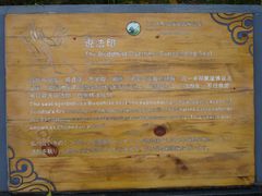 景点-大阳山国家森林公园