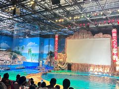 -华夏文旅海洋公园