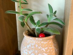 -花言草语(灵山路店)