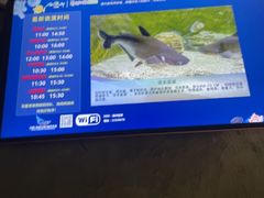 -合肥海洋世界