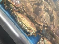 -盒马鲜生(大成店)