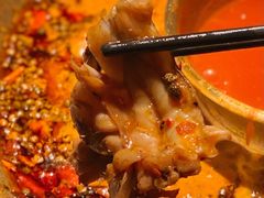 -哥老官重庆美蛙鱼头(龙湖杭州金沙天街店)