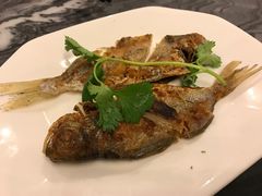 -鼎仔翅(龙湖公寓北区店)