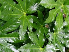 -贵阳市花溪国家城市湿地公园