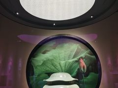 -四川宋瓷博物馆