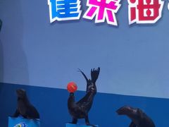 -蓬莱欧乐堡海洋极地世界