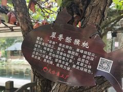 -天怡·鱼工厂(梅溪湖店)