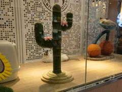 -BABIT巴比特宠物(MOMOPARK店)