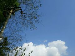 -雅安楠水阁温泉酒店