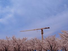 -龙美术馆(西岸馆)