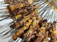 -一只羊烧烤(东湾半岛店)