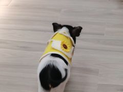 -猪盟咖啡店(玖洲道店)