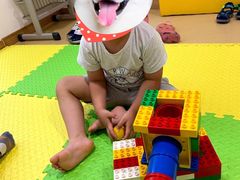 -韦哲乐高机器人·等级考试·少儿编程(羽山路校区)