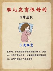 -海豚湾高端月子会所(黄浦店)