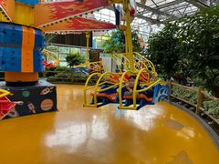 -南宫五洲植物乐园