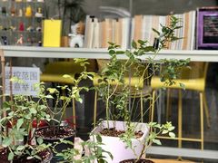 -五进制 Coffee Shop
