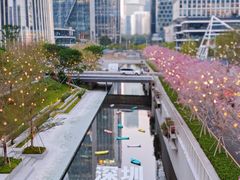 -深圳湾万象城(南山店)