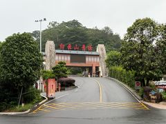 -白云山风景名胜区