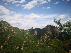 -大岭沟猕猴桃谷风景区
