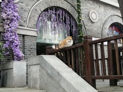 -1912街区