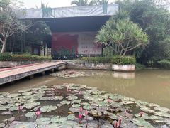 -红色娘子军纪念园