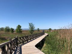 -野鸭湖国家湿地公园