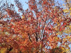 -香山公园-东宫门售票处