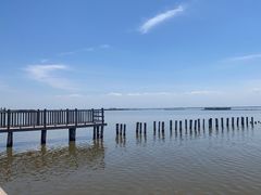 -哈素海
