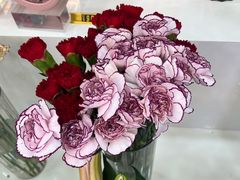 -摩登百货(岗顶店)