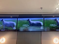 -蝎王府羊蝎子(西直门店)